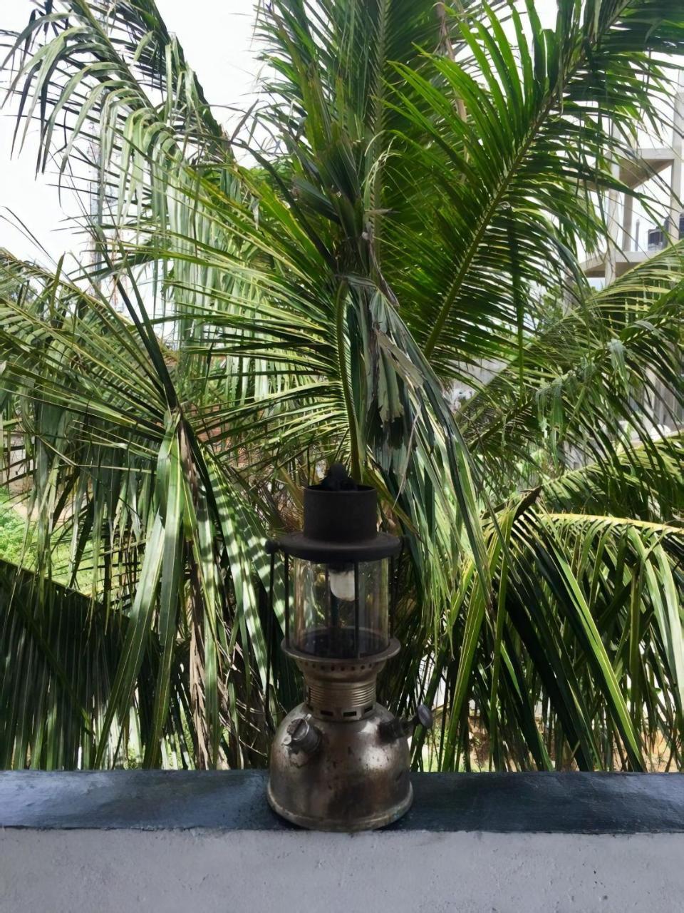 Layback Boutique Surf & Yoga Camp Sri Lanka Hostel Weligama Exterior foto