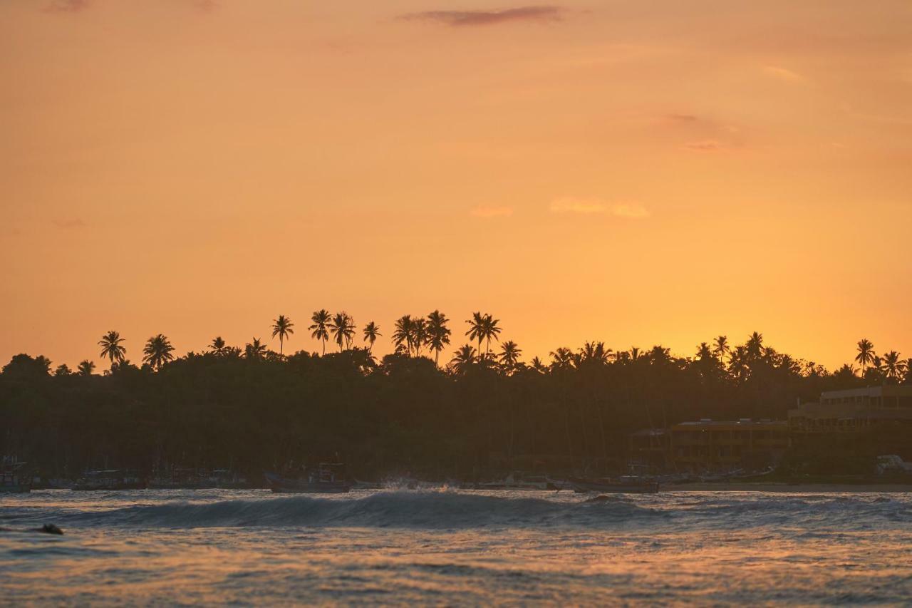 Layback Boutique Surf & Yoga Camp Sri Lanka Hostel Weligama Exterior foto