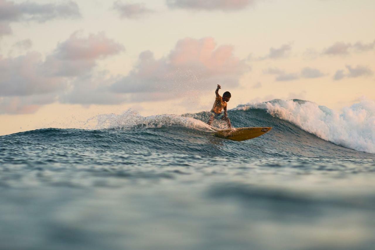 Layback Boutique Surf & Yoga Camp Sri Lanka Hostel Weligama Exterior foto